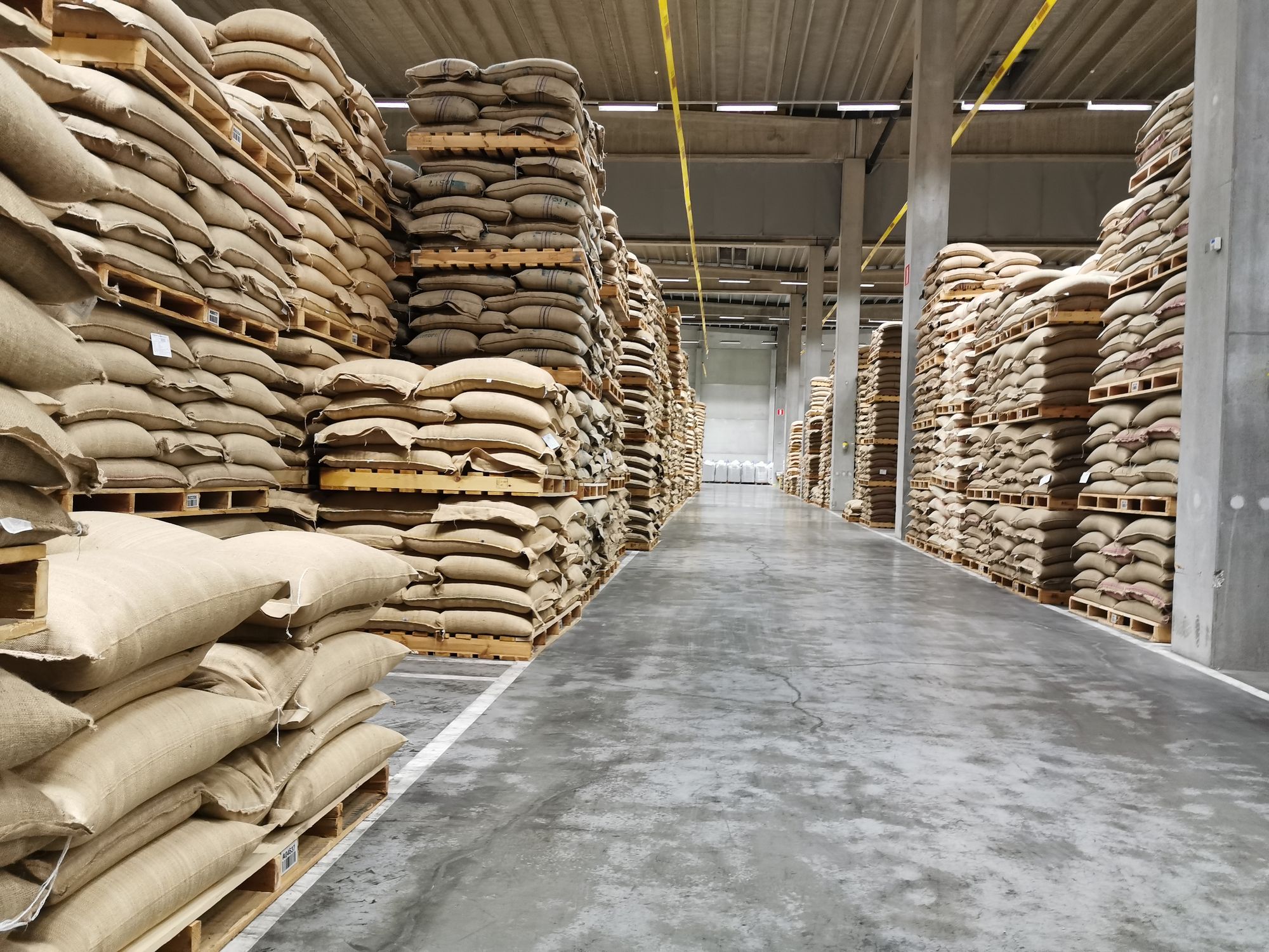 Jute sacks of green coffee stacked on pallets in a warehouse, graded and ready to ship